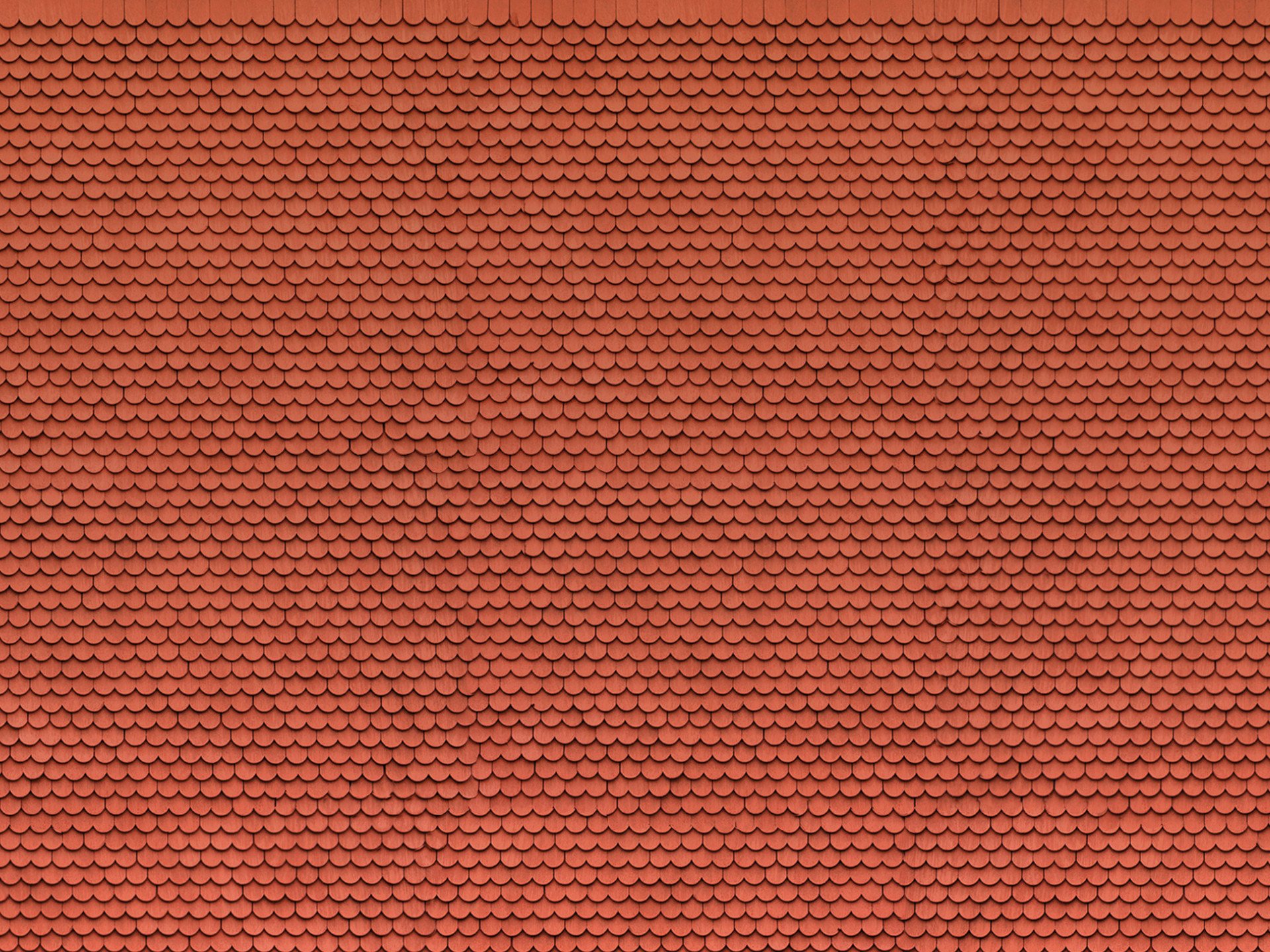 3D-Kartonplatte Biberschwanz rot