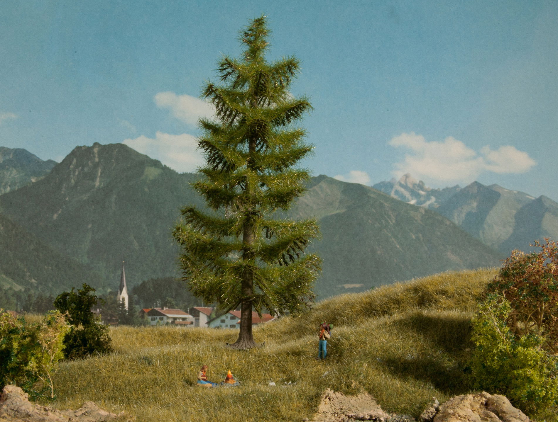 Spruce Tree Fichte, 18,5 mm