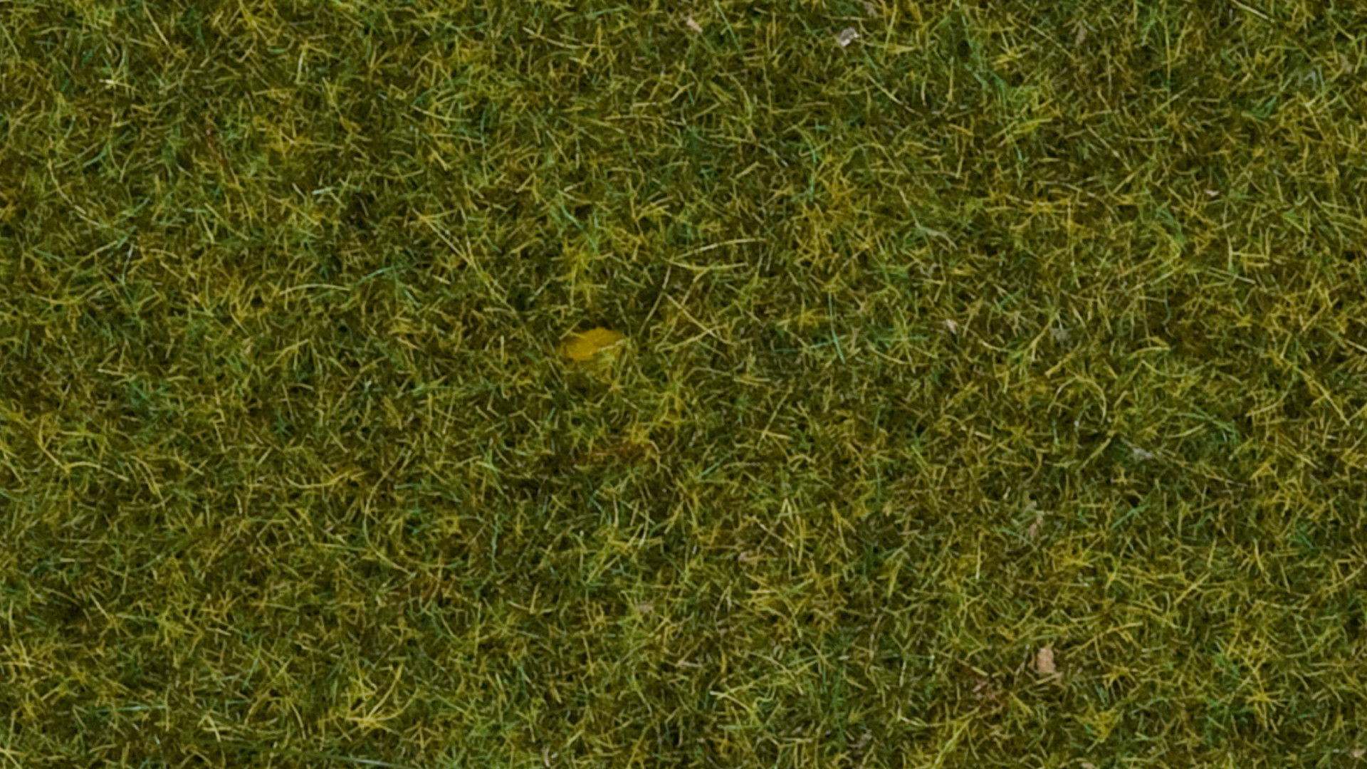 Scatter Grass "Meadow" Streugras Wiese, 4mm