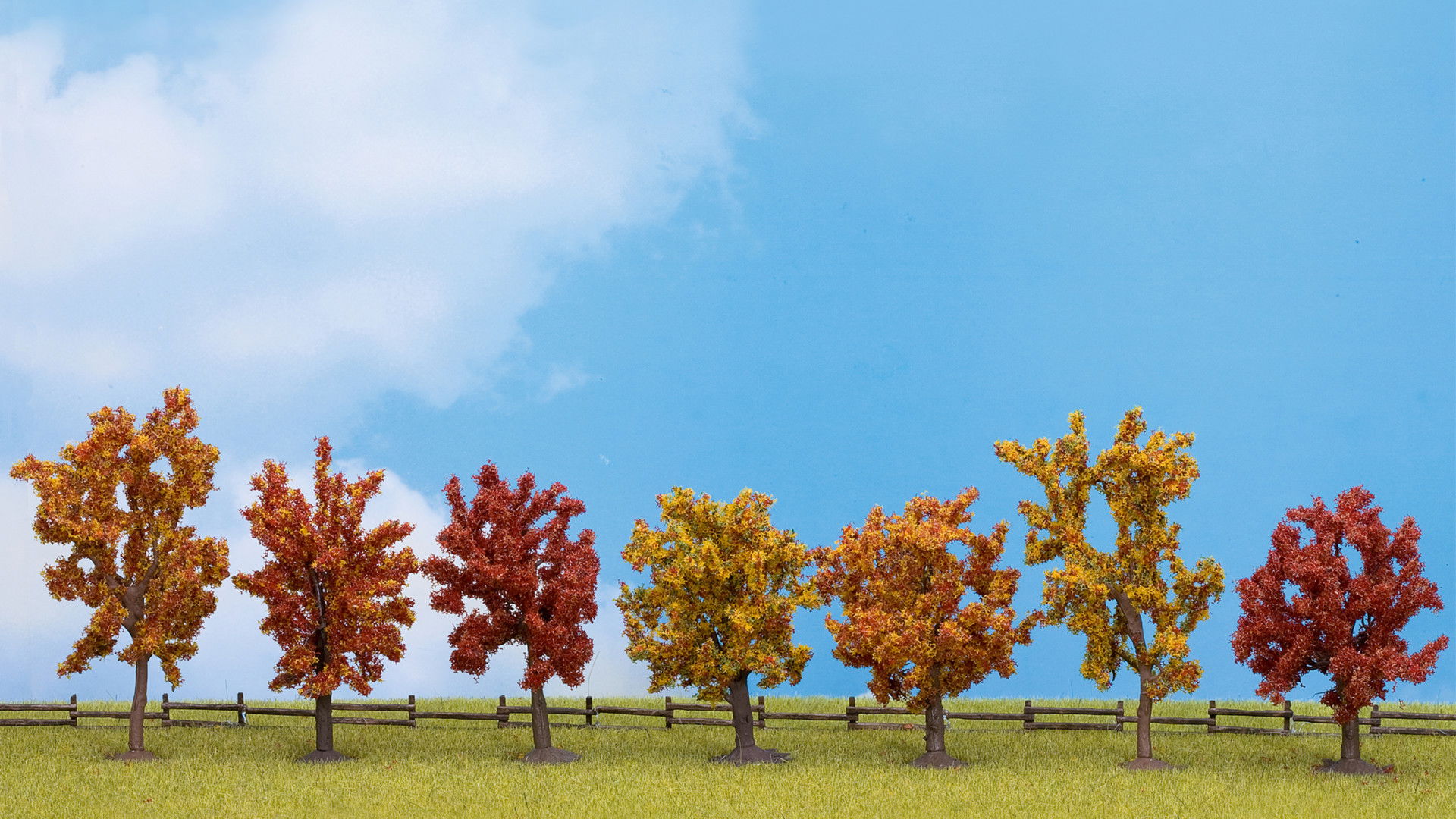 Autumn Trees Herbst-Bäume