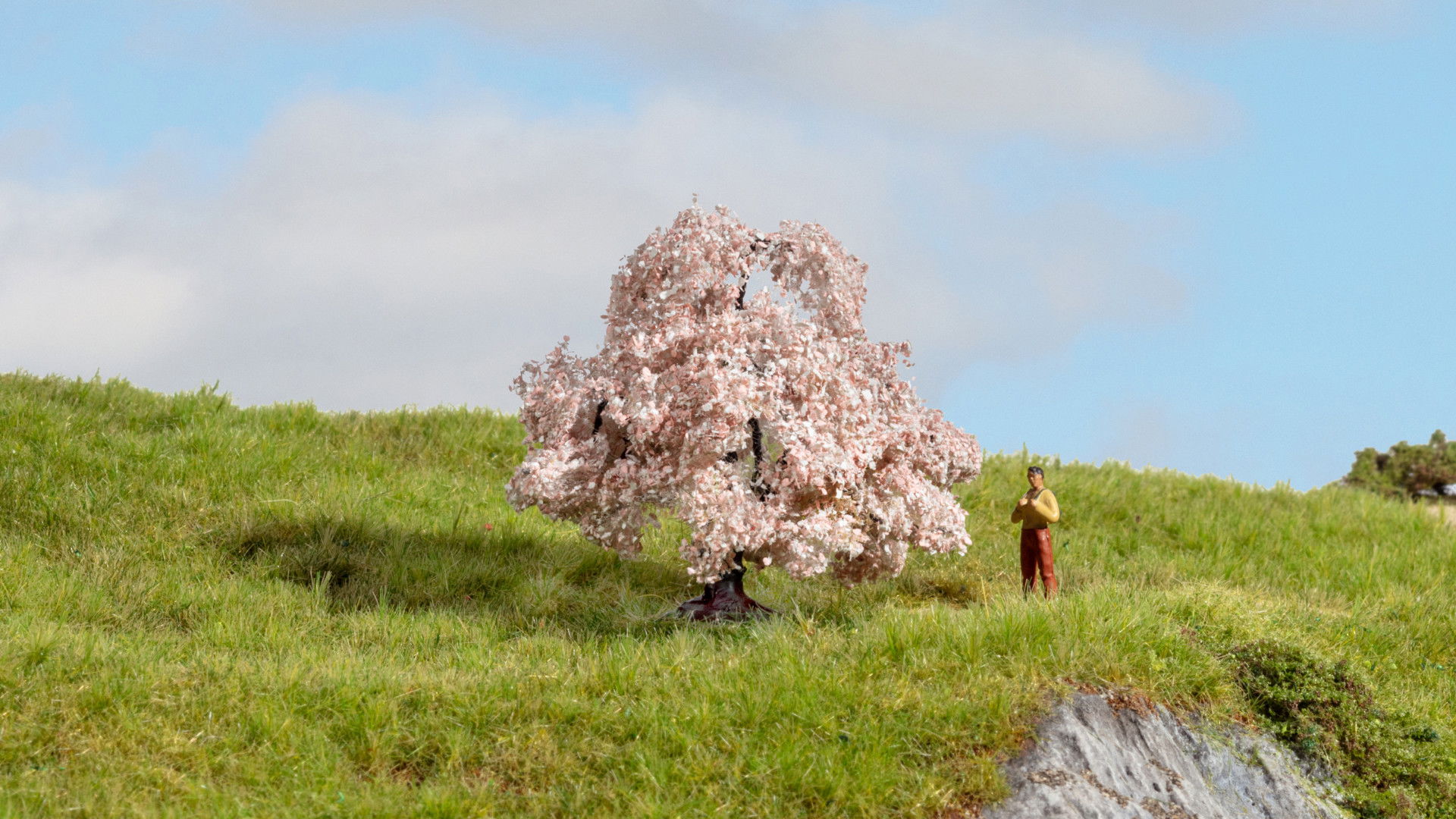 Kirschbaum Büsche und Feldhecken
