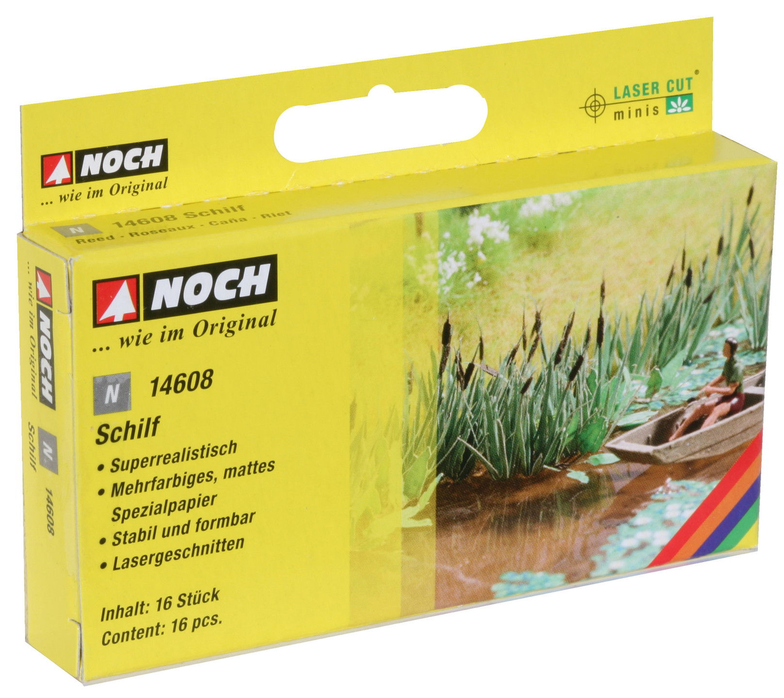 Reed Schilf