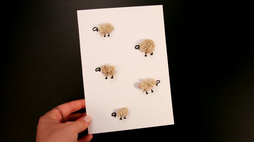 1. Sheep cards