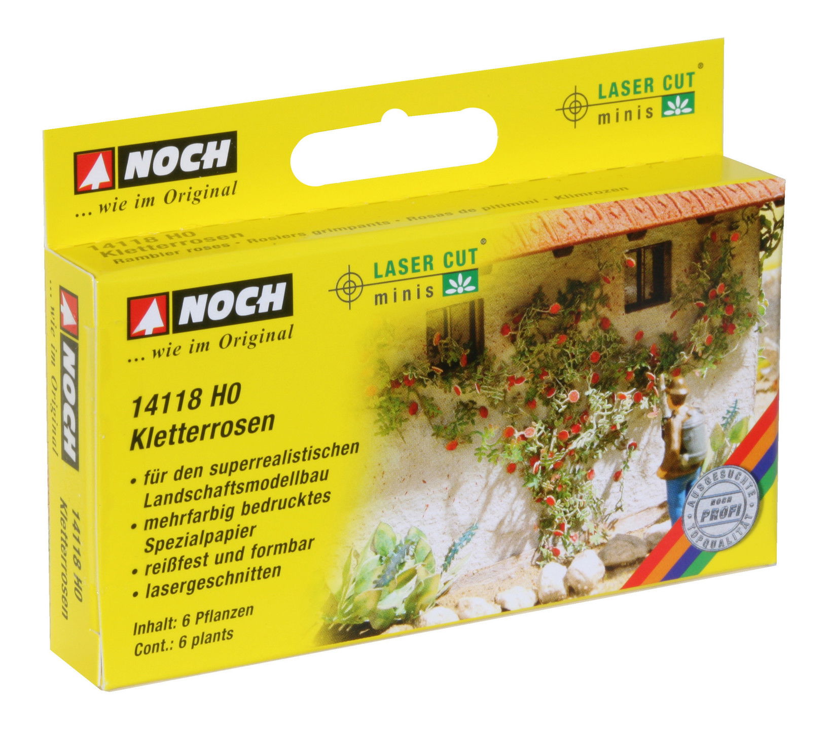 Rambler Roses Kletterrosen