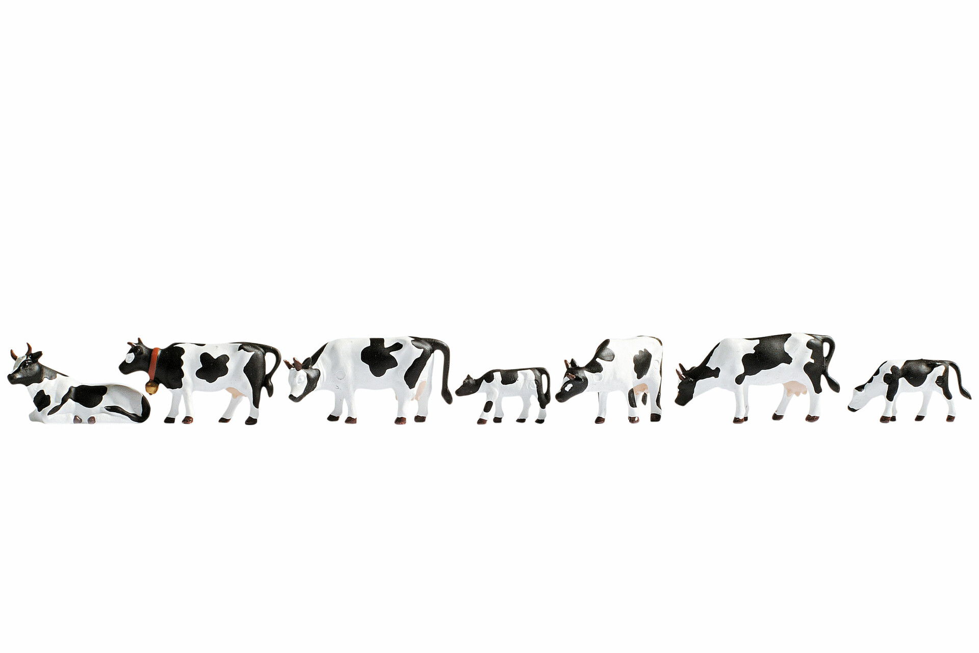 Cows, black-white Kühe