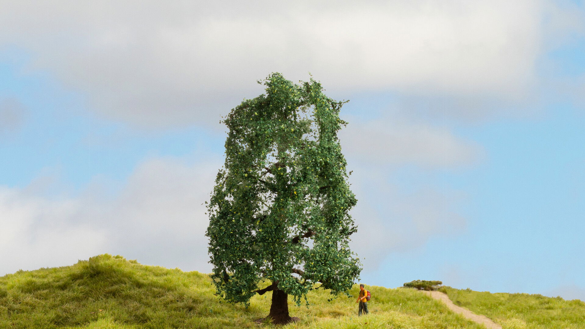 Oak NOCH Master-Bäume Masterbaum Eiche