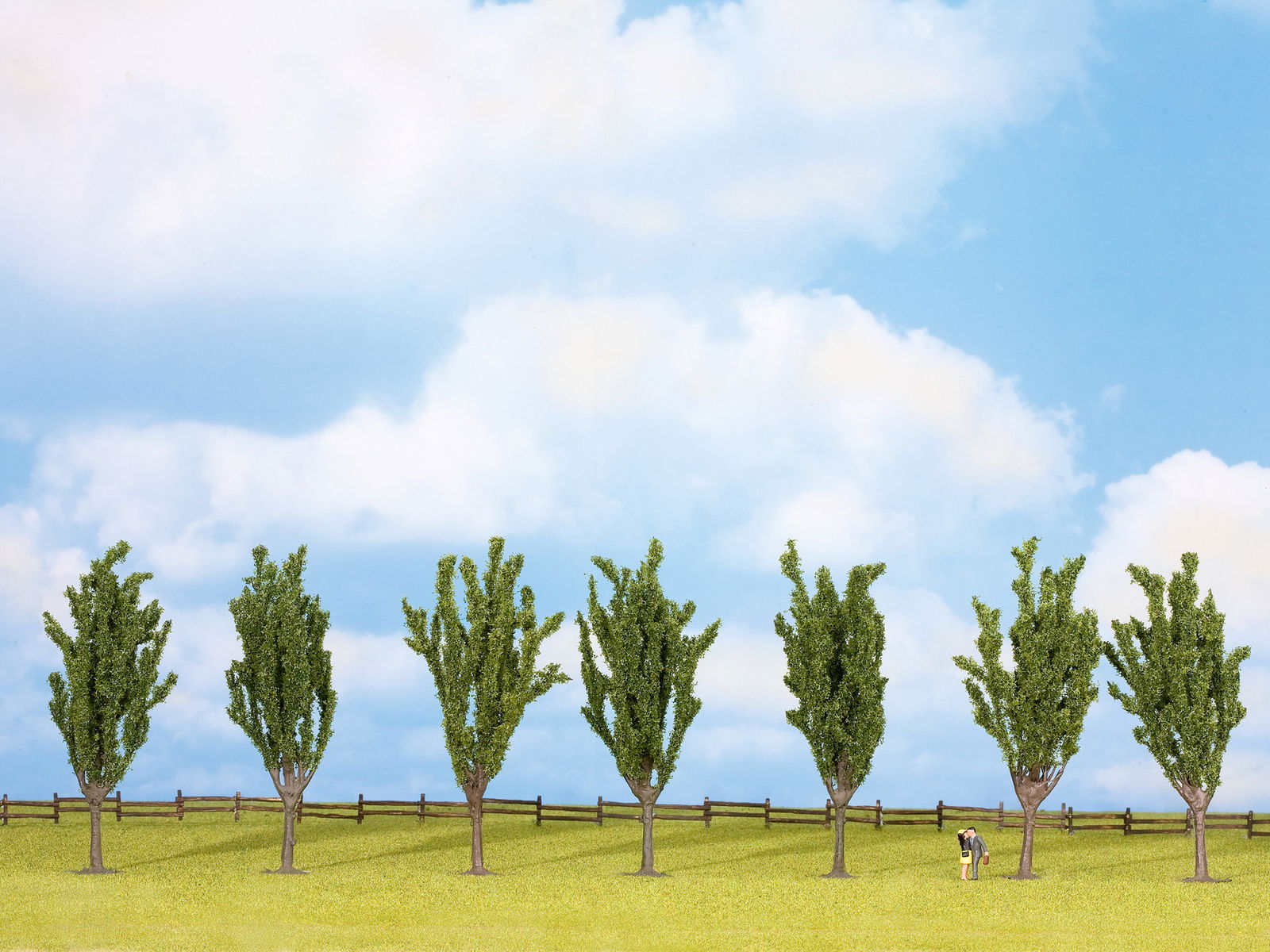 Poplar Trees Model Tree NOCH   Rs 1664 25098 