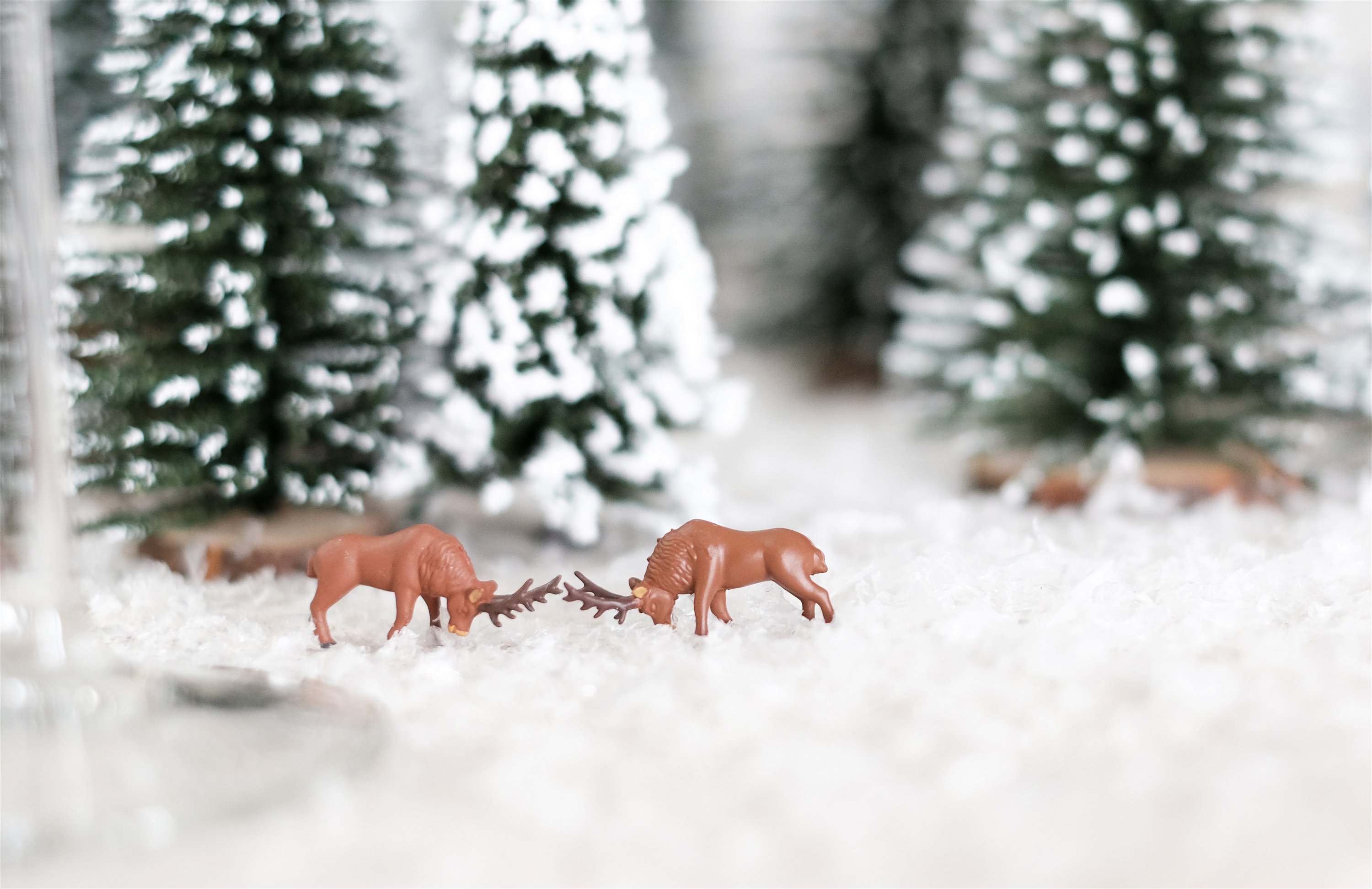 1. Snowy fir trees & name tags
