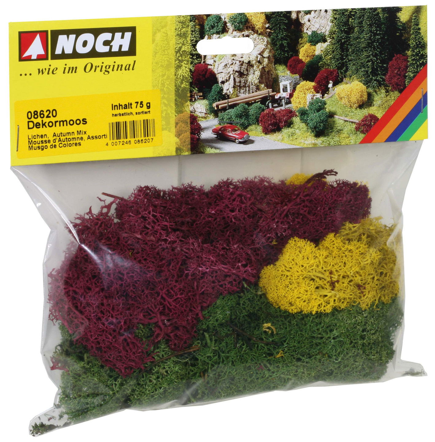 Lichen Dekormoos, herbstlich sortiert