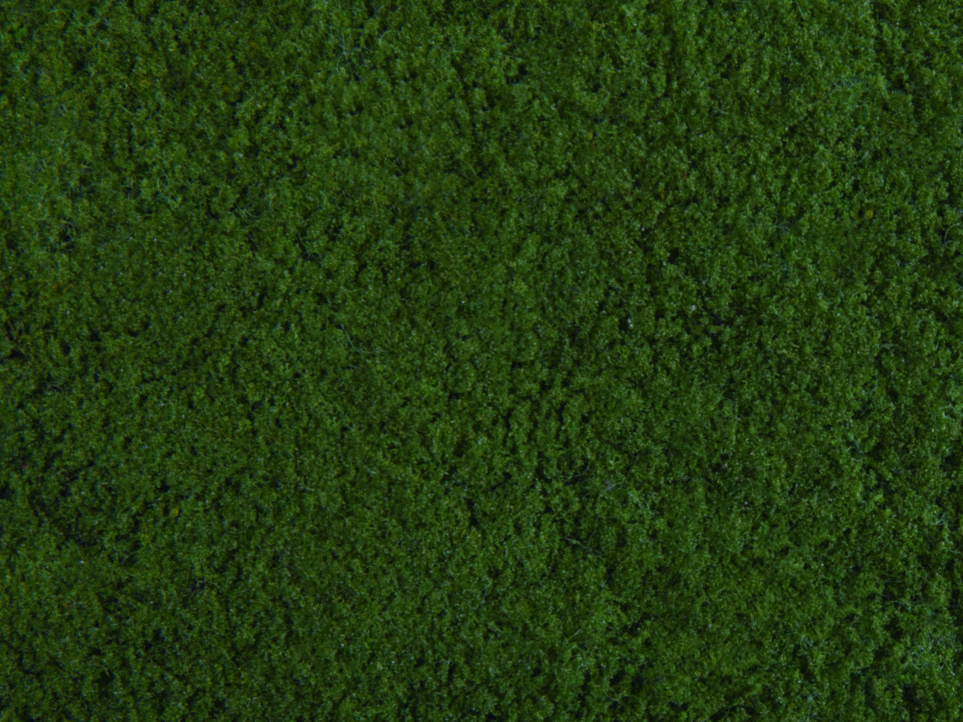 Foliage Foliage, dunkelgrün