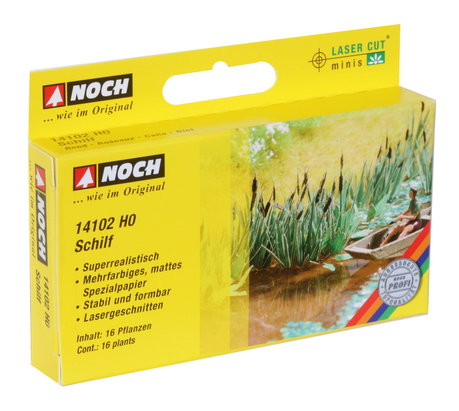 Reed Schilf