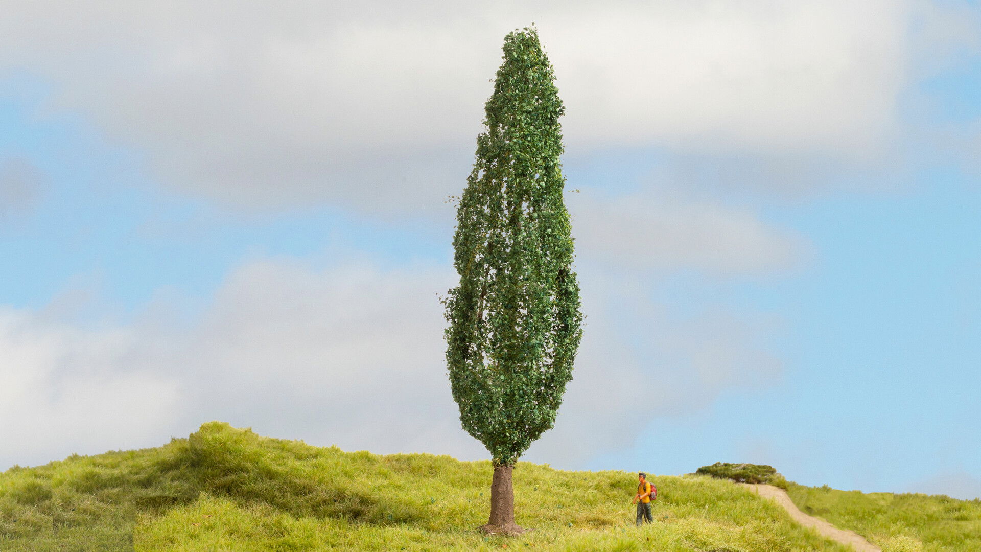 Poplar NOCH Master-Bäume Masterbaum Pappel