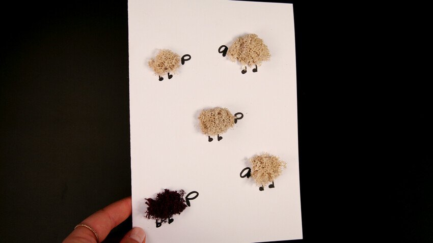1. Sheep cards