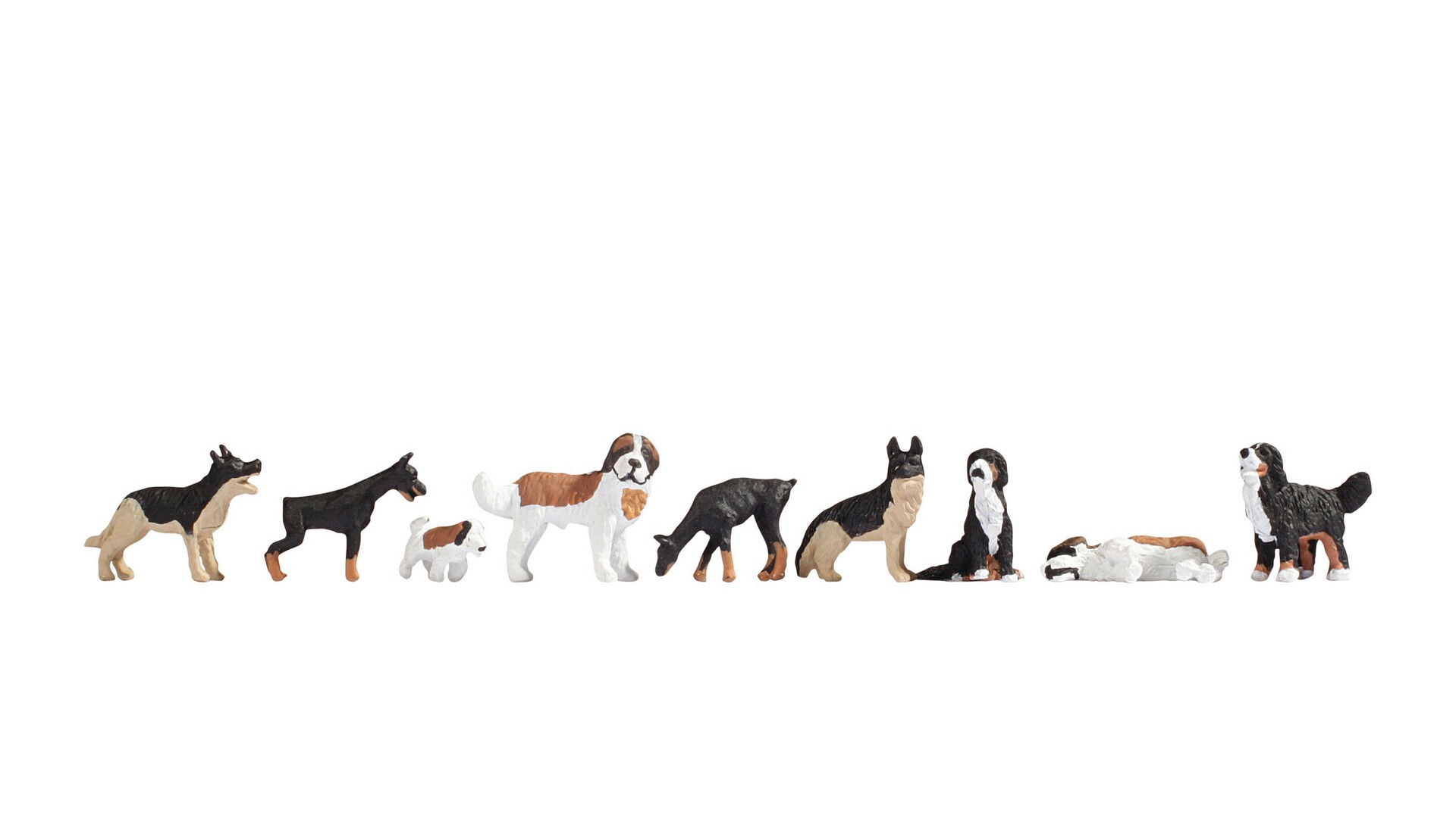 Hunde Hunde