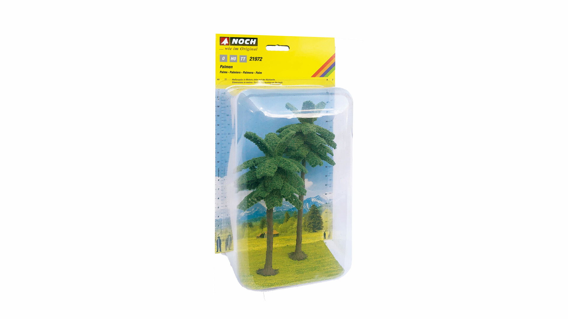 Palms Palmen