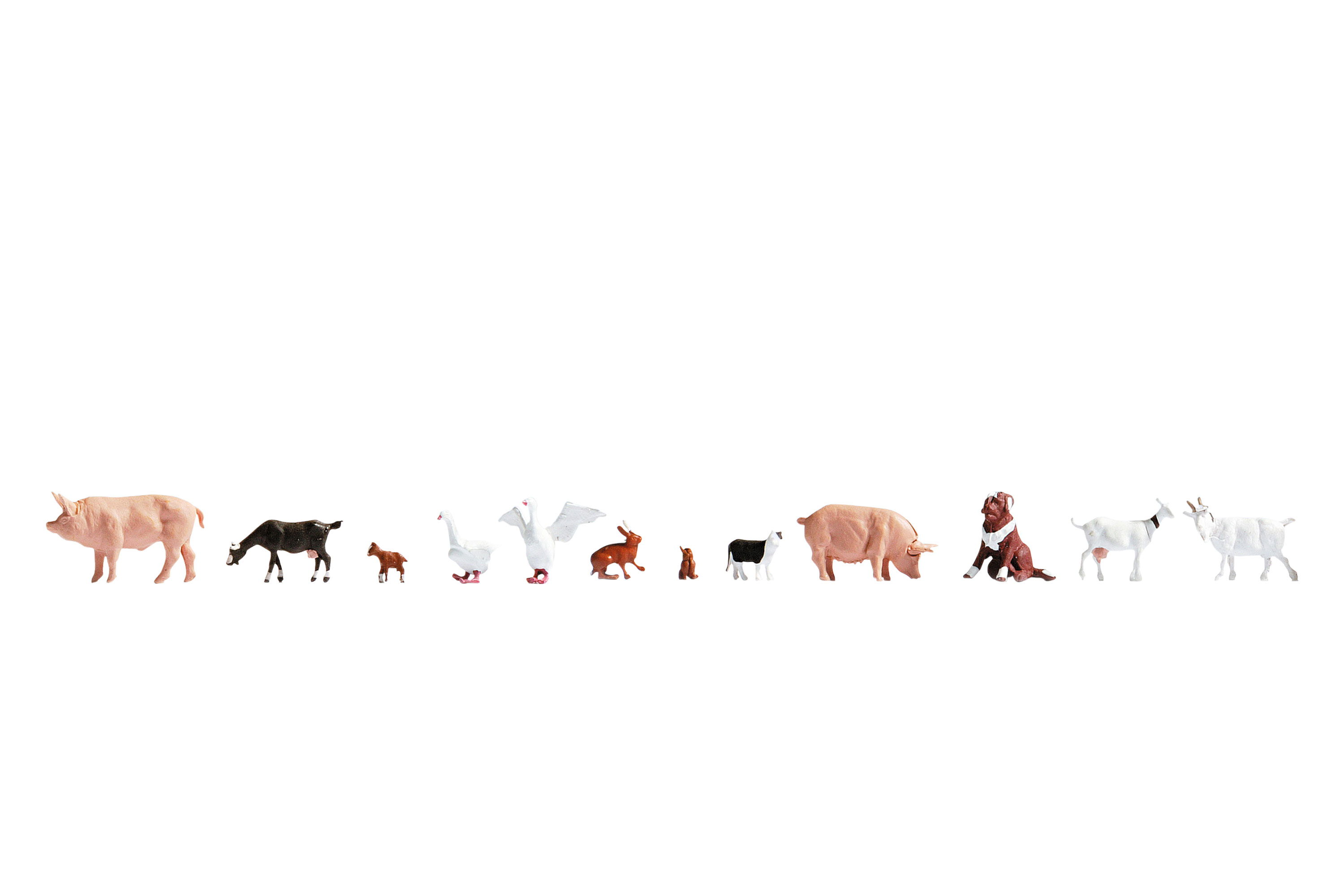 Farm Animals Farm Animals