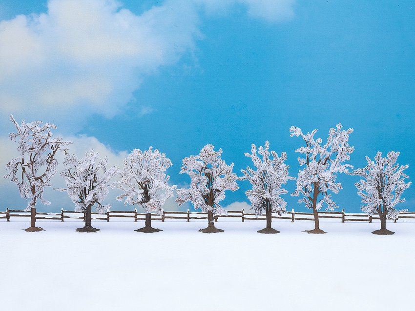 Winter-Bäume